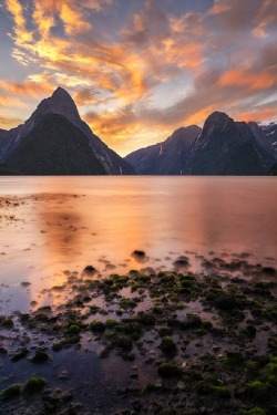 sublim-ature:  Milford Sound, New ZealandWilliam Patino