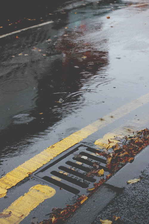 plasmatics-life:  Autumn | Rainy Days by Antonio 