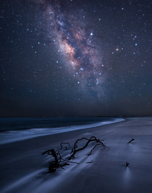 90377:between where and why by Tim Williams