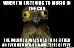 thedailymeme:  Odd numbers just feel unnatural…