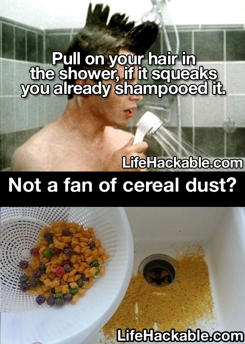 jeansdad:  vaspim:  sniffling:  sunsetsinfastforward:  Only on Tumblr could you find advice on being buried alive in the same post as advice on cereal dust.  some of these might actually be helpful but please do not put your fruit in the dishwasher everyo