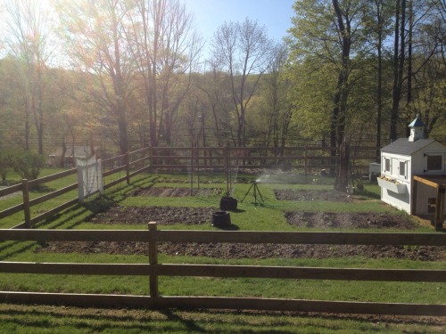 To the left our garden begins it&rsquo;s long sleep during fall and winter and to the right was 