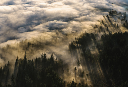 vlynx:Sunshine Coast Aerial by Owen Perry