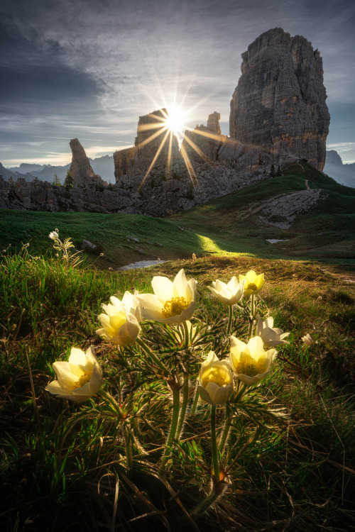 sweetd3lights:   All rights reserved  by Бакулин Владимир