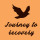 recovering-and-healing: “SHOUTOUT to anyone and everyone who is struggling tonight.