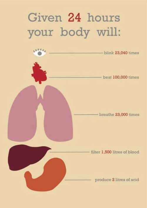  Source: ScienceAlert; via asapscience 