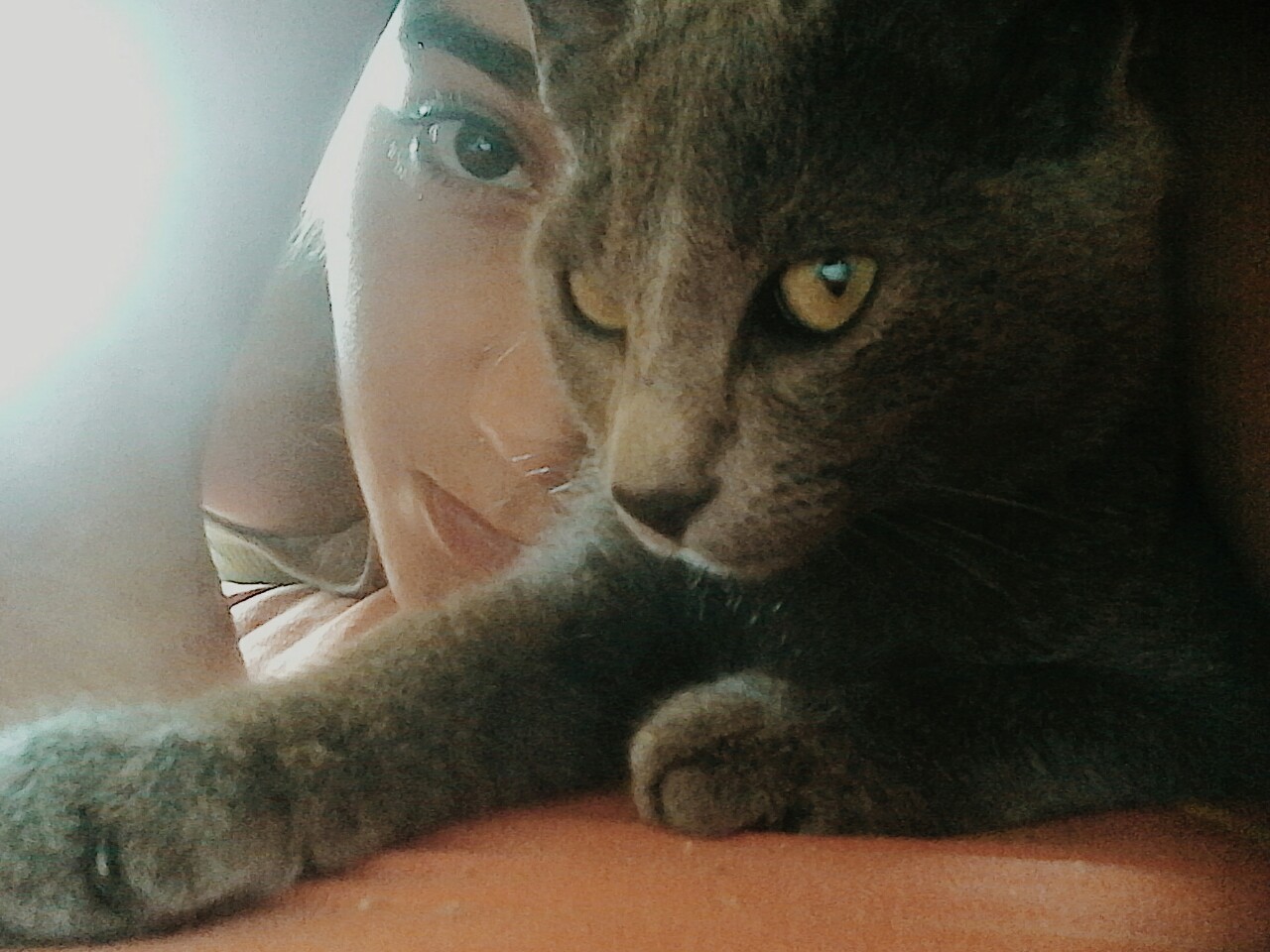quilometrar:  @nathegallina