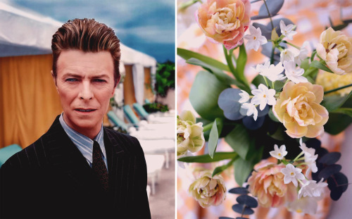 (1994)gallery tags (x)Bowie by Michel Haddicolored by b0wie_colour
