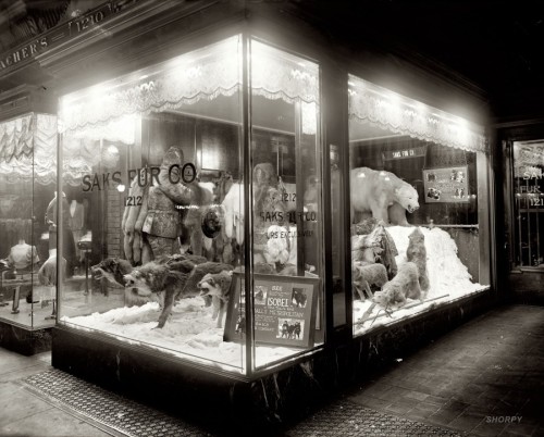 Sak&rsquo;s Store Window- Furs 1920