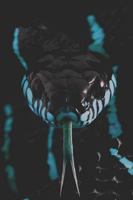 twenty1-grams:  On wrheartit