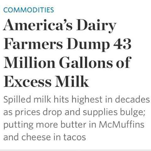 “More than 43 million gallons’ worth of milk were dumped in fields, manure lagoons or animal f