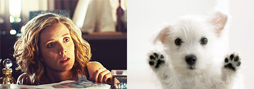 creamsicles-r-delicious:actualpuppy!delphine: a completely necessary scientific comparison