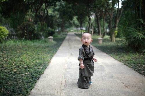 yuppvinny: cultureincart: The cute little monk in Xichan Temple, Fuzhou, southeast China’s Fuj