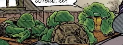 Mirage Turtles Without Masks >>>>