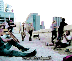 we are the walking dead