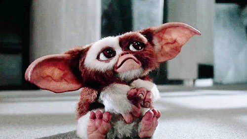 justsomemoviepictures:  Gremlins (1984) 