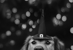 A Culpa É Das Estrelas.