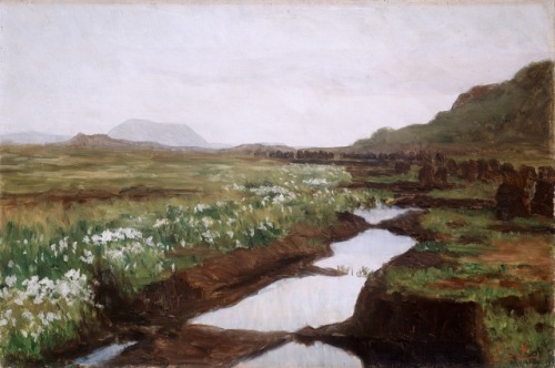 huariqueje: Peatlands in Jæren (Study)  -    Kitty Kielland., c.1897 Norwe