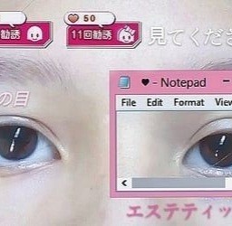 Tumblr media