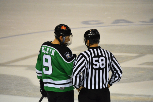 floofyfeather:  So along with video games and figure skating, I love hockey.  Louisiana Ice Gators v. Columbus Cottonmouths W 6-4 Jan. 2, 2015