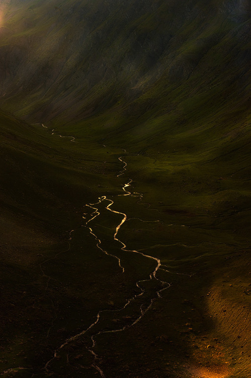 drxgonfly: River Gold (by David Martin Castan)