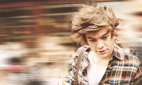 bradford bad boi
