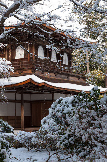 ileftmyheartintokyo: 銀閣寺 観音殿 by GenJapan1986 on Flickr.