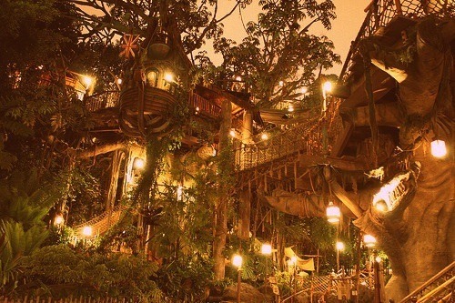 snarksandkisses:  bruja-ja:  My long term goals include living in a treehouse connected to other treehouses by zip line and suspension bridge.  Don’t everyone’s? 