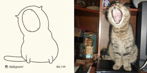 art-woonz:Art by IG: @dailypurrrInstagram: @artwoonz