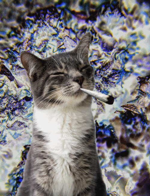 Weed