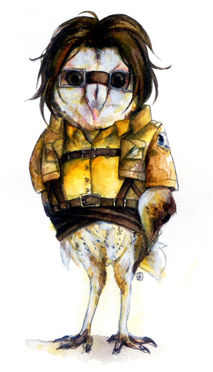 iamleviheichou:foraz-zora: Shingeki no Kyojin characters as birds Artist: くろ My friend and I found t