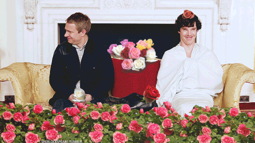 sherlockspeare:  sherlockdc:  bakerstreetbabes:  why would you do this.  I want a written apology for the last one.  
