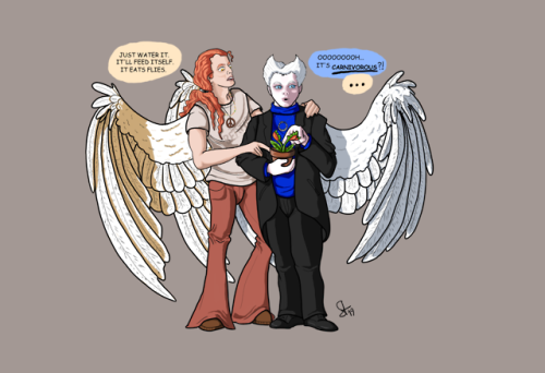 ineffablemiracles:In which the angel Crowley gives the demon Aziraphale a venus flytrap as a gag gif