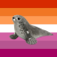 atlanticselkie