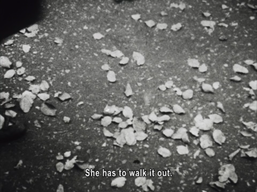 cryingoverfilmshots: Lost, lost, lost (1976), dir. Jonas Mekas