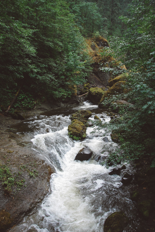 automaticallyoutstanding:Tanner creek in late August