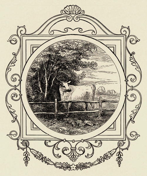 The heifer deprived of her mates. A century of emblems - George Spencer Cautley - 1878 - via Interne