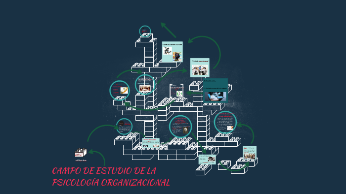 CAMPO DE ESTUDIO DE LA PSICOLOGÍA ORGANIZACIONAL