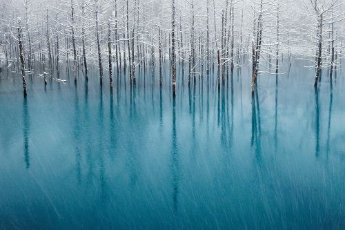 natgeoyourshot:
“Spotlight: Kent Shiraishi, Japan  In our Spotlight feature, we ask our members some questions to learn more about what inspires their photography, the processes they use to make images, and the stories behind their favorite...