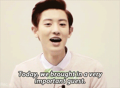 aishiteruyeol:  Chanyeol’s self interview 