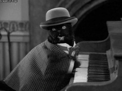 georgetakei:  Play it again, Cat.Source: Awwww Pets 