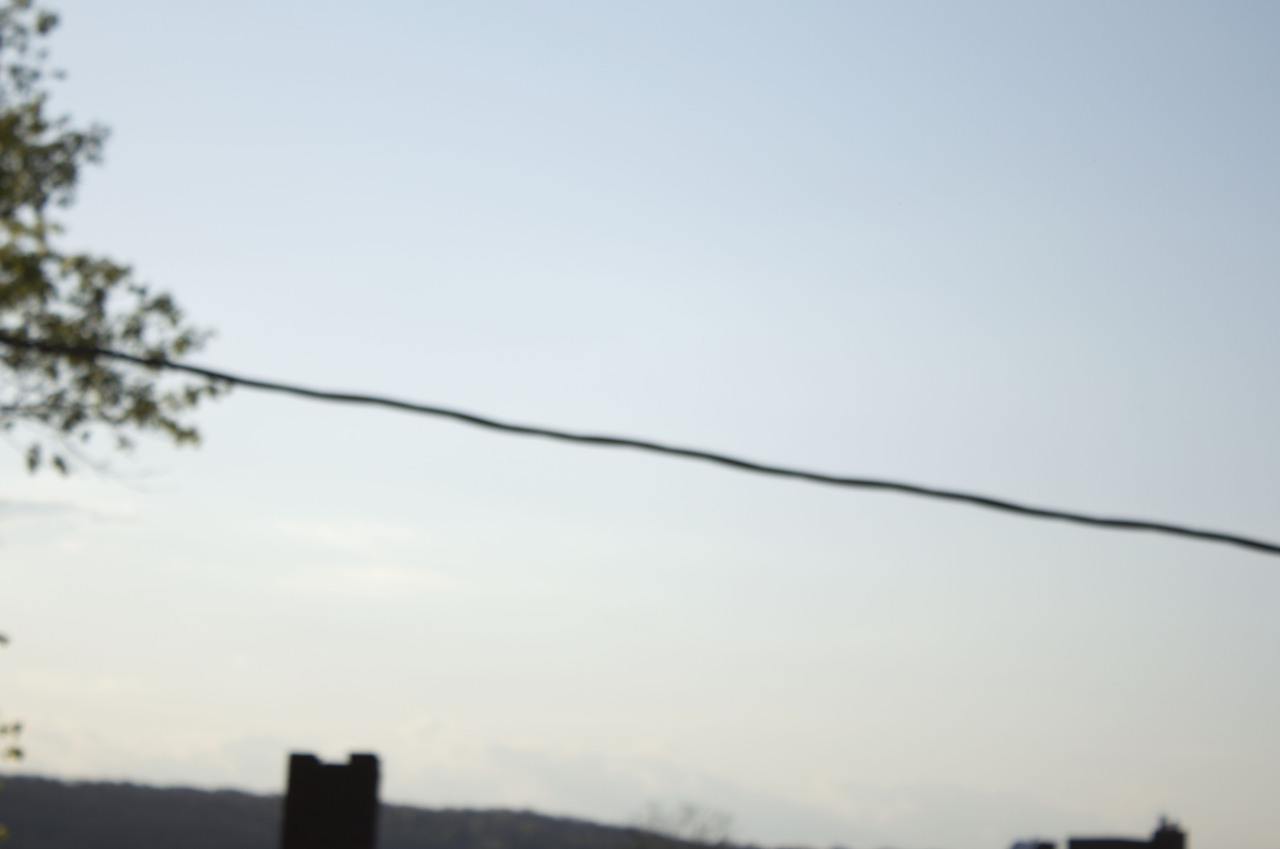 alexislanza:  ithaca, nyspring 2015 