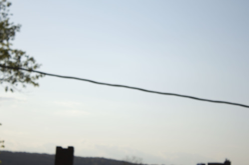 alexislanza:  ithaca, nyspring 2015 