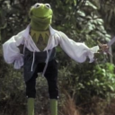 kermit-official - e