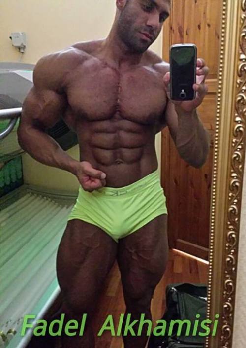 drwannabe:  Fadel Alkhamisi 