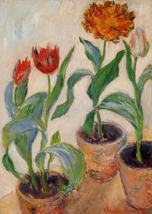 impressionism-art-blog:Three Pots of Tulips, 1883, Claude Monet