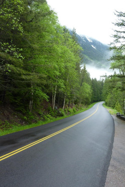 plasmatics-life:  { Misty Road } x Aziz Hamad