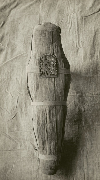 grandegyptianmuseum:Mummy of Prince Amenemhat before Unwrapping, 1919, by Ambrose LansingImmediately after World War I, 