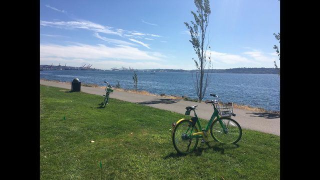 ohkobunny:  jumpingjacktrash:  househunting:  so there’s a new bikeshare program