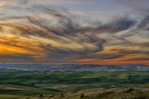 tulipnight:  Palouse Sunset by Mike Gass